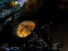 bg06_640w_t1_1.jpg