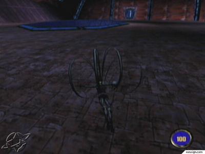 bg75_640w.jpg