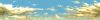 level3.dti_t1.png