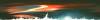 level4.dti_t1.png